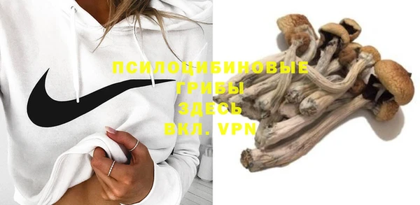 МДМА Бородино
