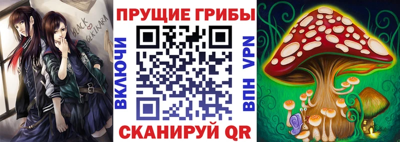 наркота  omg зеркало  Галлюциногенные грибы Magic Shrooms  Мурманск 