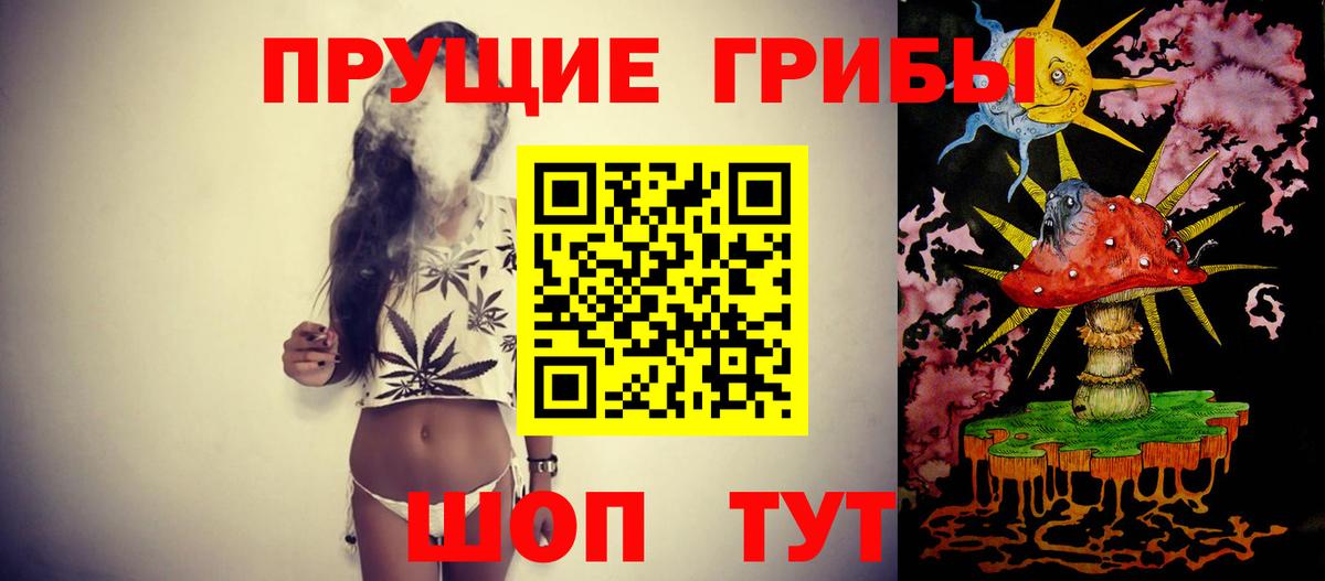 Галлюциногенные грибы Psilocybe Мурманск