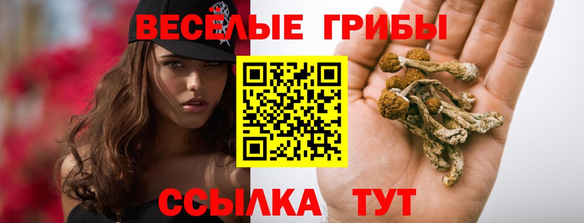 Галлюциногенные грибы мухоморы  Вход с VPN  Мурманск 